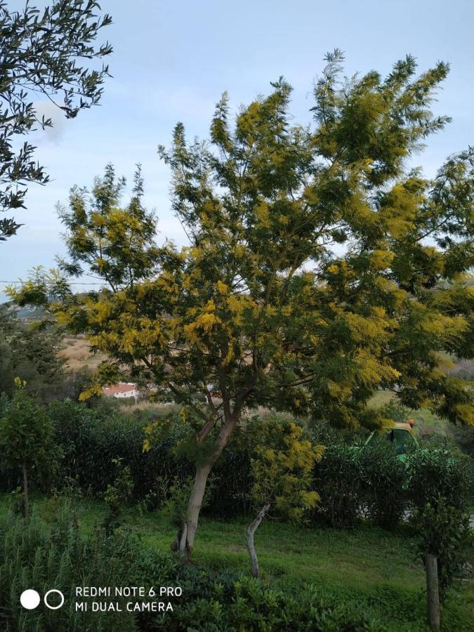 Monolocale Belvedere Su Porto Rotondo 库尼亚纳 外观 照片